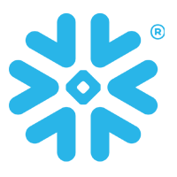 Turbotic Ai servicenow logo
